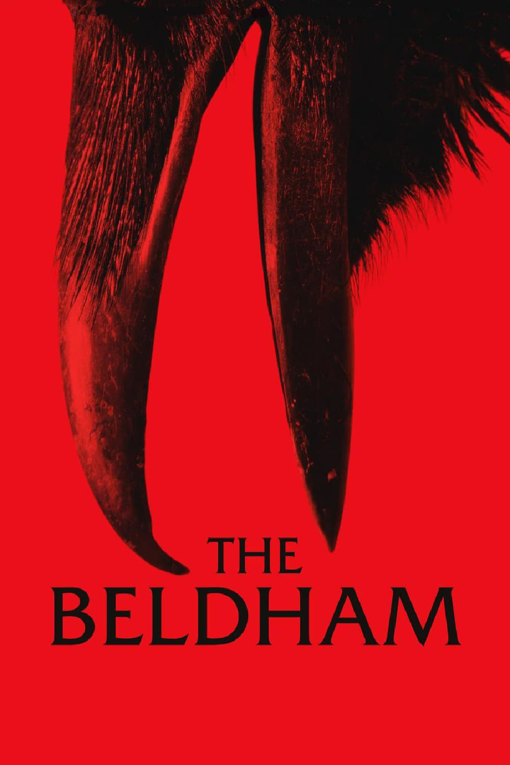 Постер The Beldham